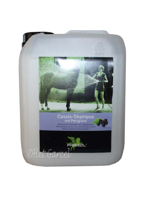 BENSE & EICKE Parisol Pflege Shampoo 5.000ml