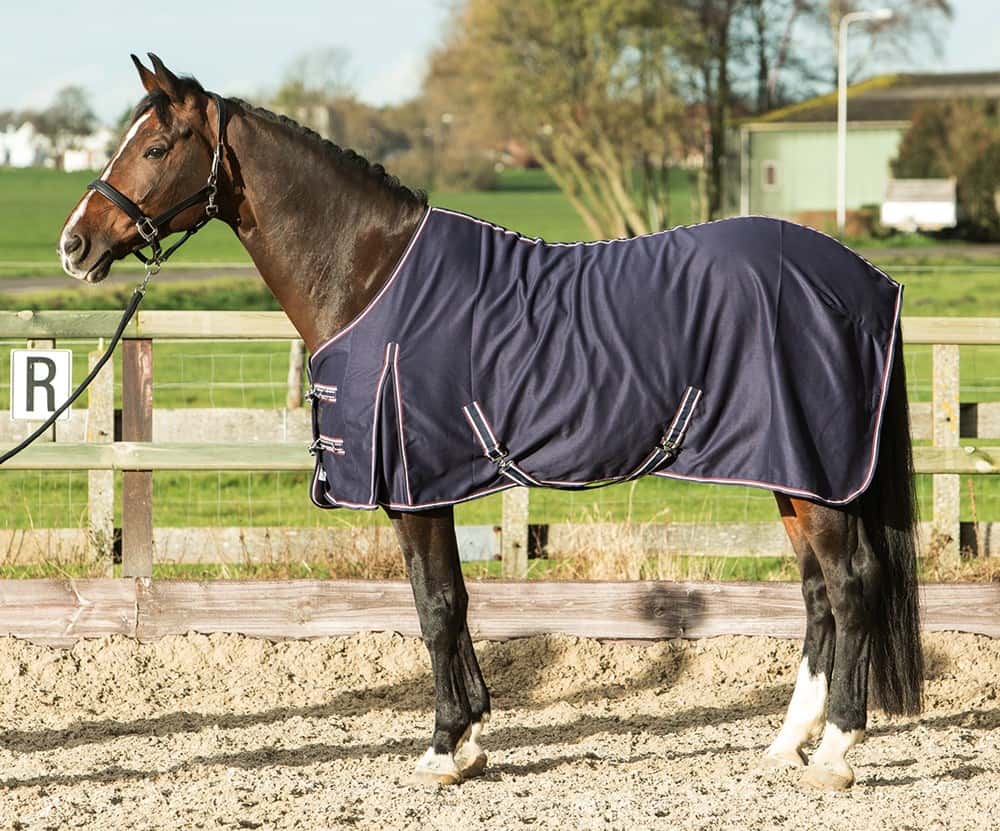 HARRY'S HORSE Harry's Horse Polycotton Zomerdek