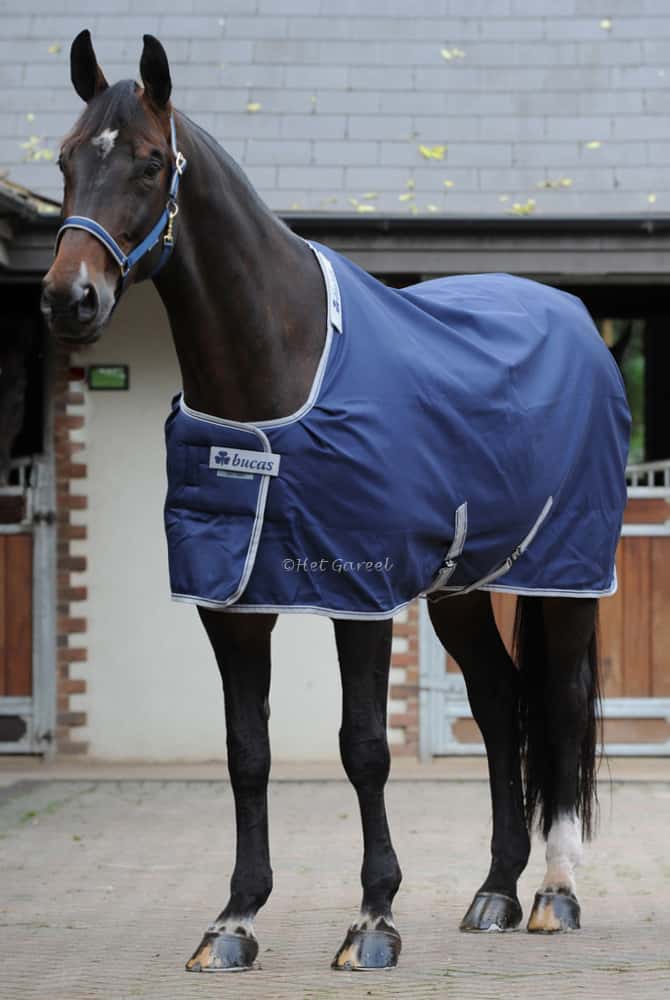 BUCAS Bucas Celtic Stable Extra