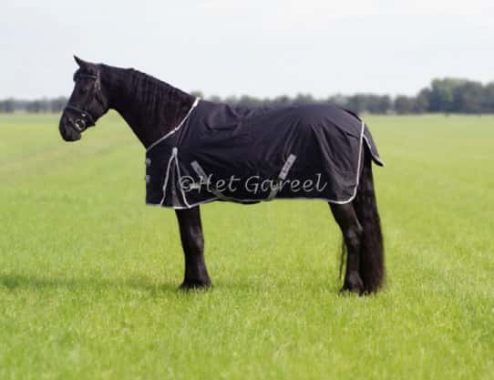QHP Qhp Outdoordeken Turnout Xl 300gr.