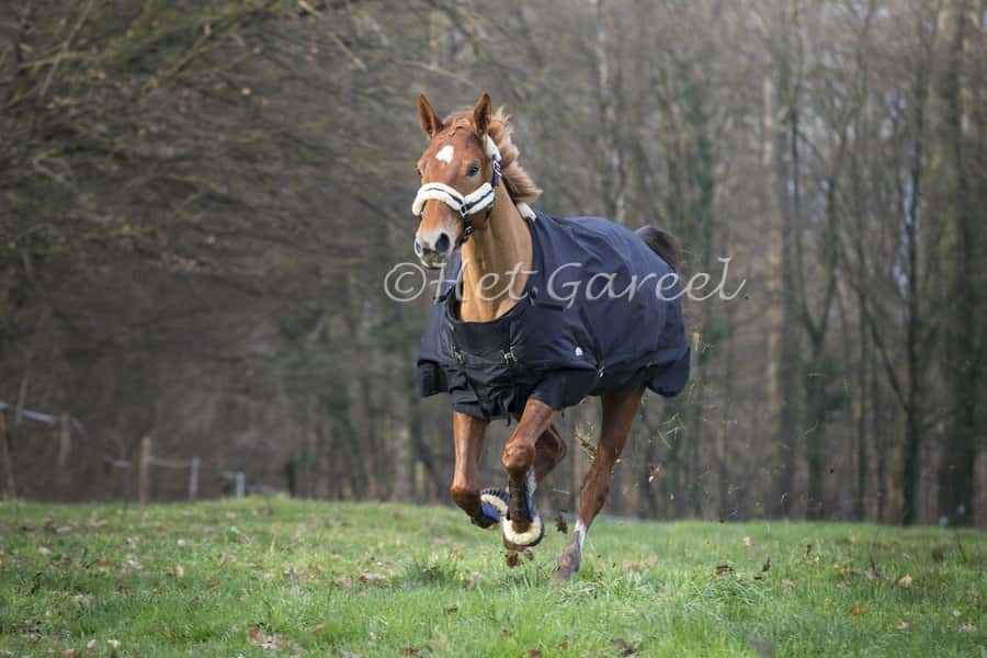 EQUI-THEME Et Tyrex 600d Outdoordeken 300gr