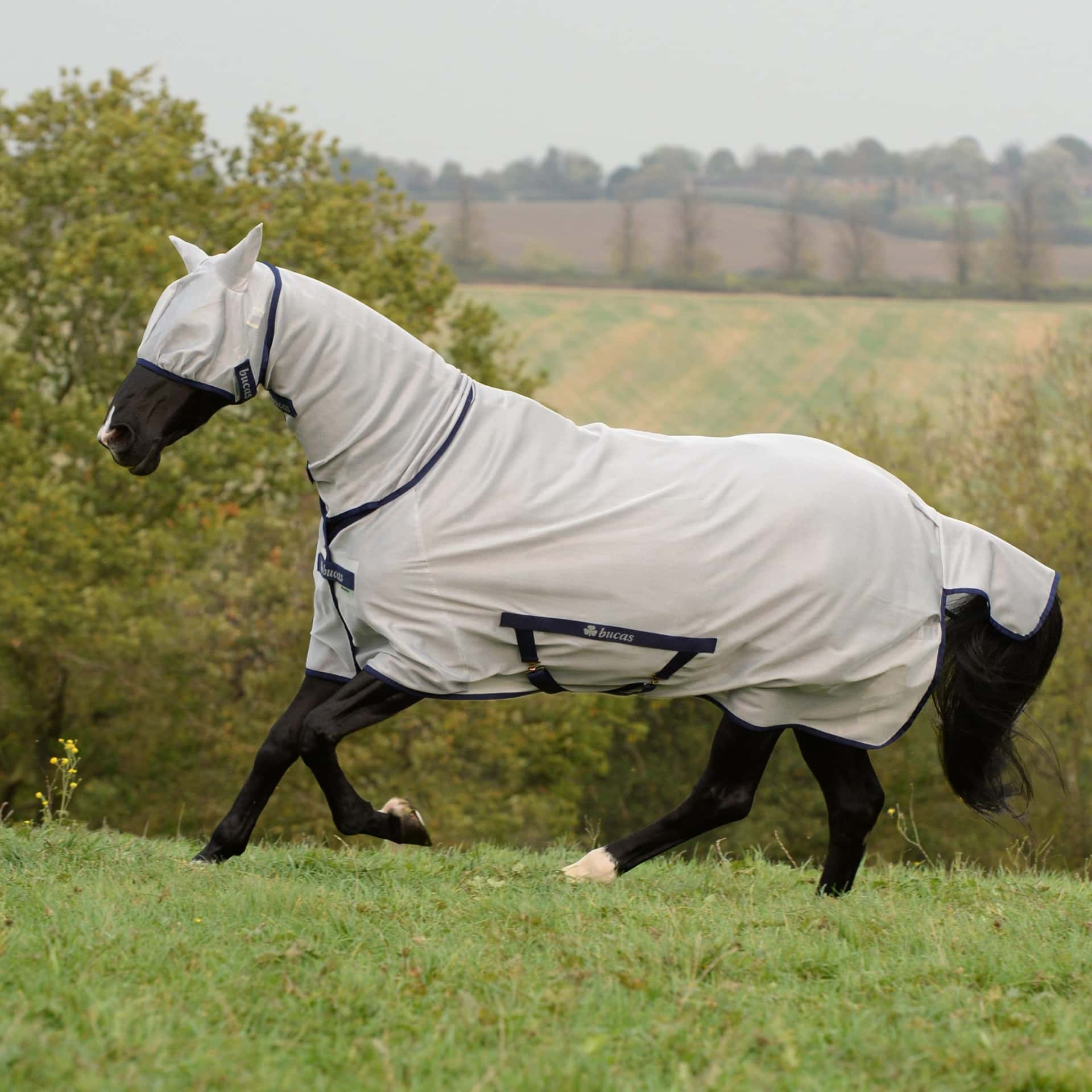 BUCAS Bucas Freedom Fly Sheet Full Neck