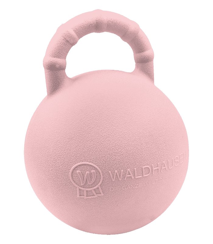 HARRY'S HORSE Waldhausen Speelball met Aardbeiensmaak Pink 25cm 