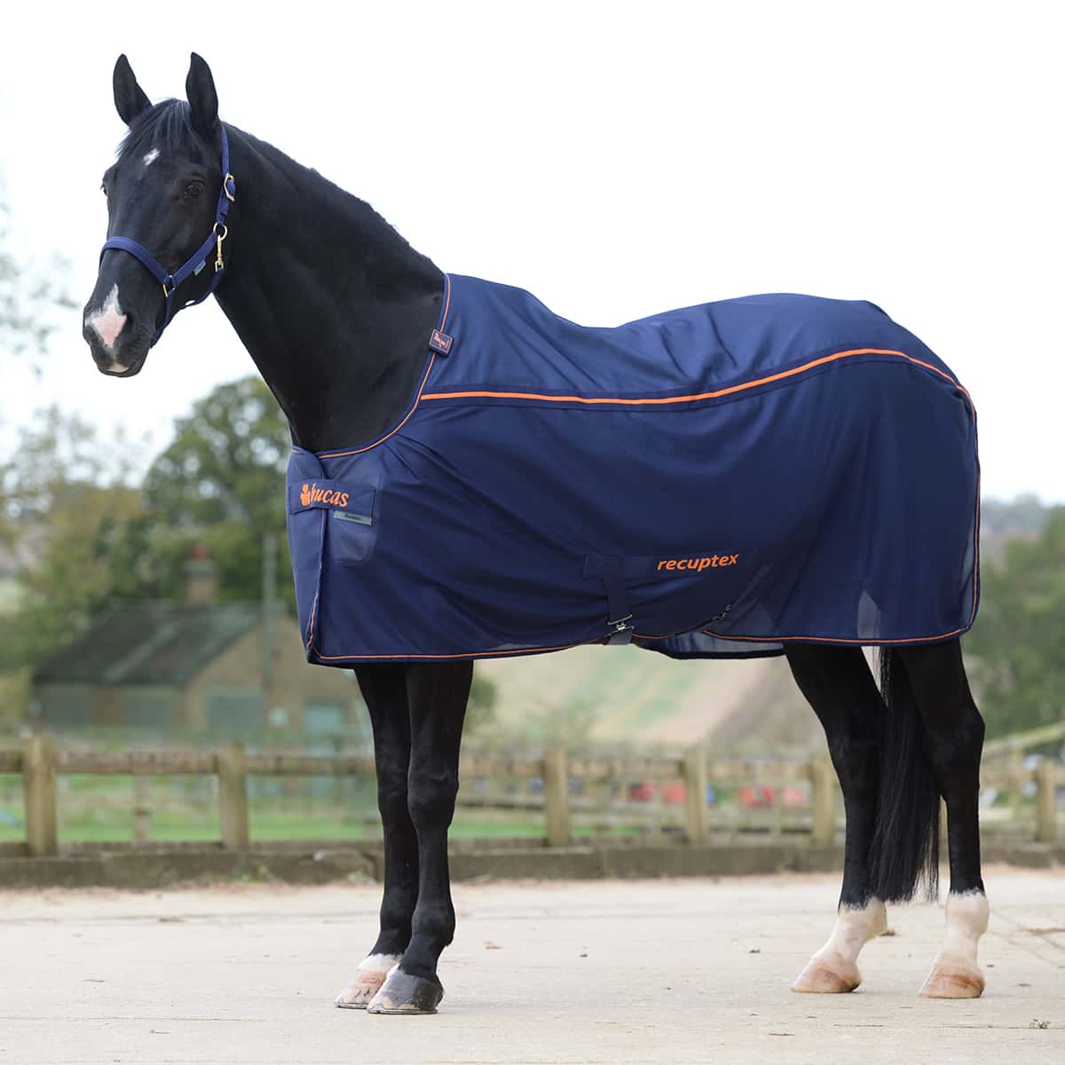 BUCAS Bucas Therapy Mesh Cooler Deken