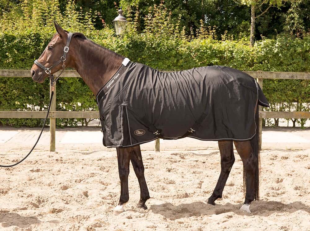 HARRY'S HORSE Harry's Horse Highliner 0 Gram