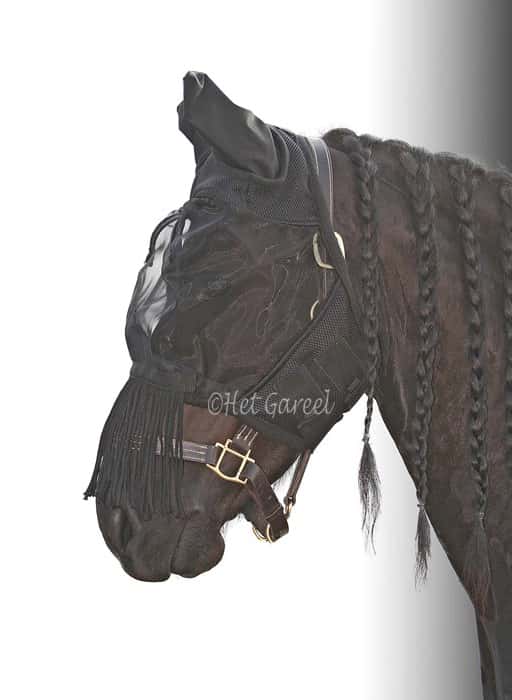 HARRY'S HORSE Harry's Horse Vliegenmasker Flyshield Fringes