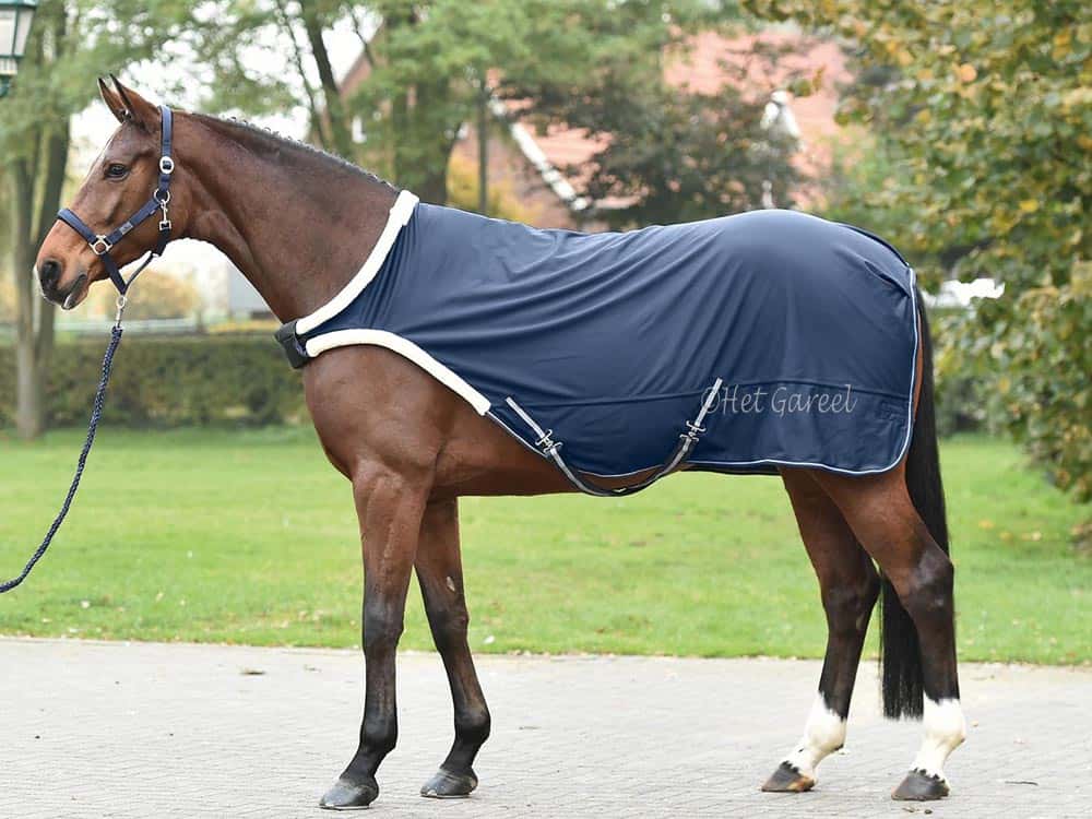 BUSSE Busse Stapmolen Deken