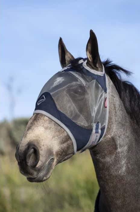 LE MIEUX Le Mieux Armour Fly Mask Standaard