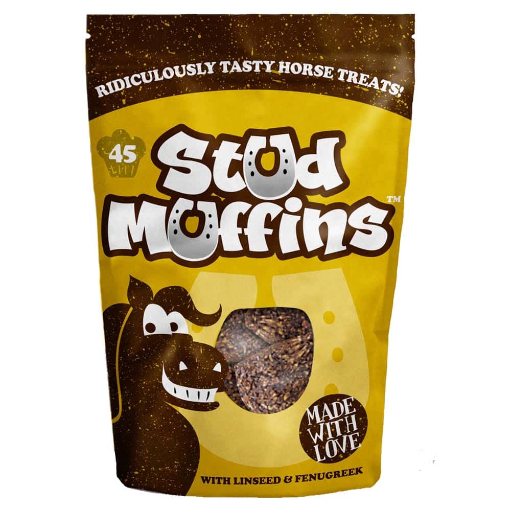 B.R RIDING Stud Muffins Zak 45 St.