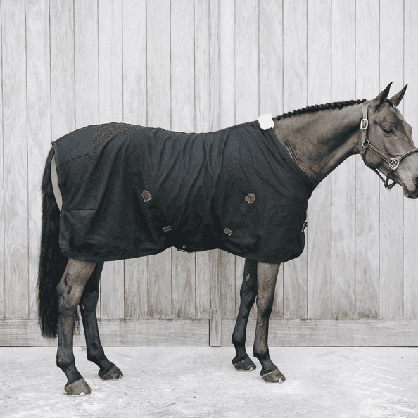 KENTUCKY HORSEWEAR Kentucky Horsewear Cotton Sheet