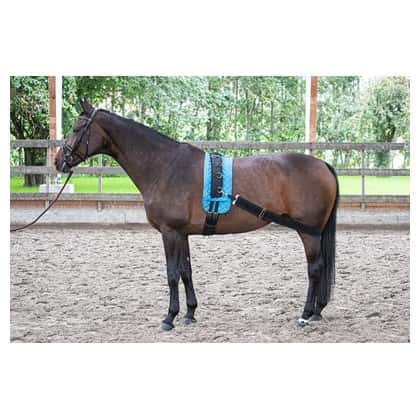 HARRY'S HORSE Harry's Horse Longeerband Elastisch