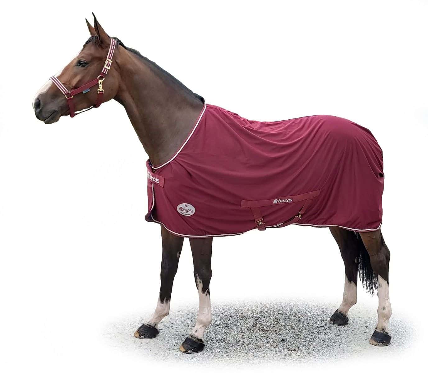 BUCAS Bucas Jubilee Cooler Deken Ruby