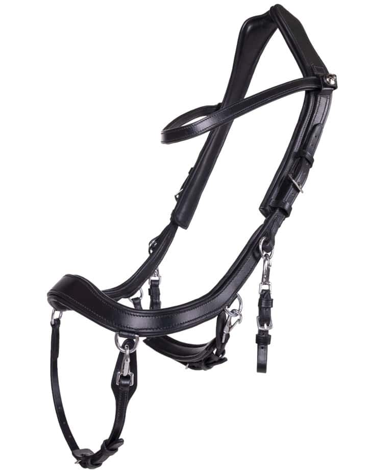 QHP Presteq Faysport Hoofdstel