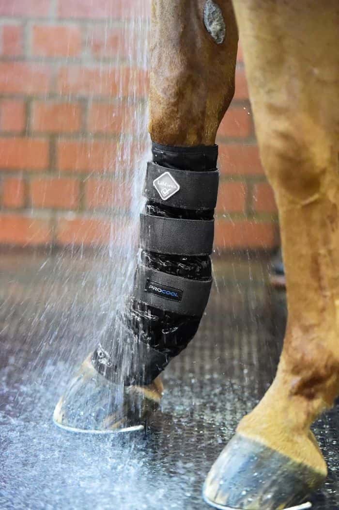 LE MIEUX Le Mieux Cold Water Boots