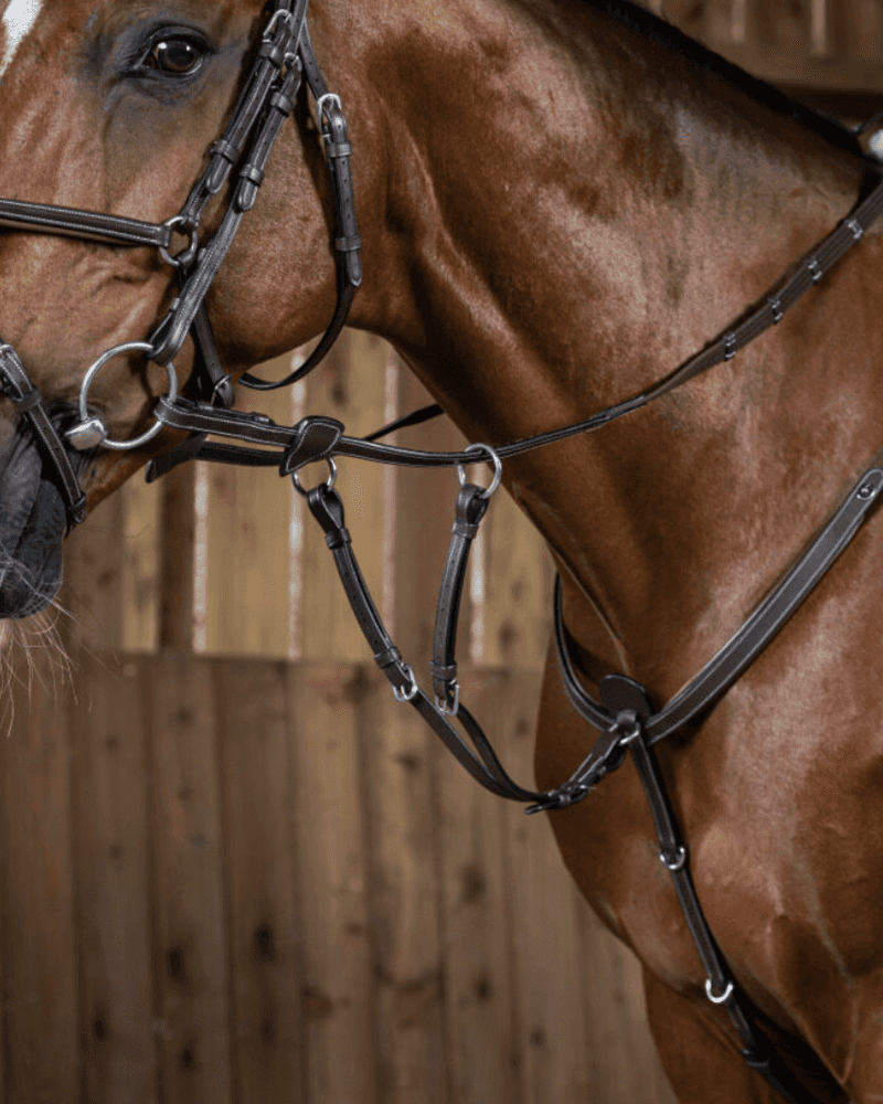 DY'ON Dyon Working Colletie Martingale Attachment