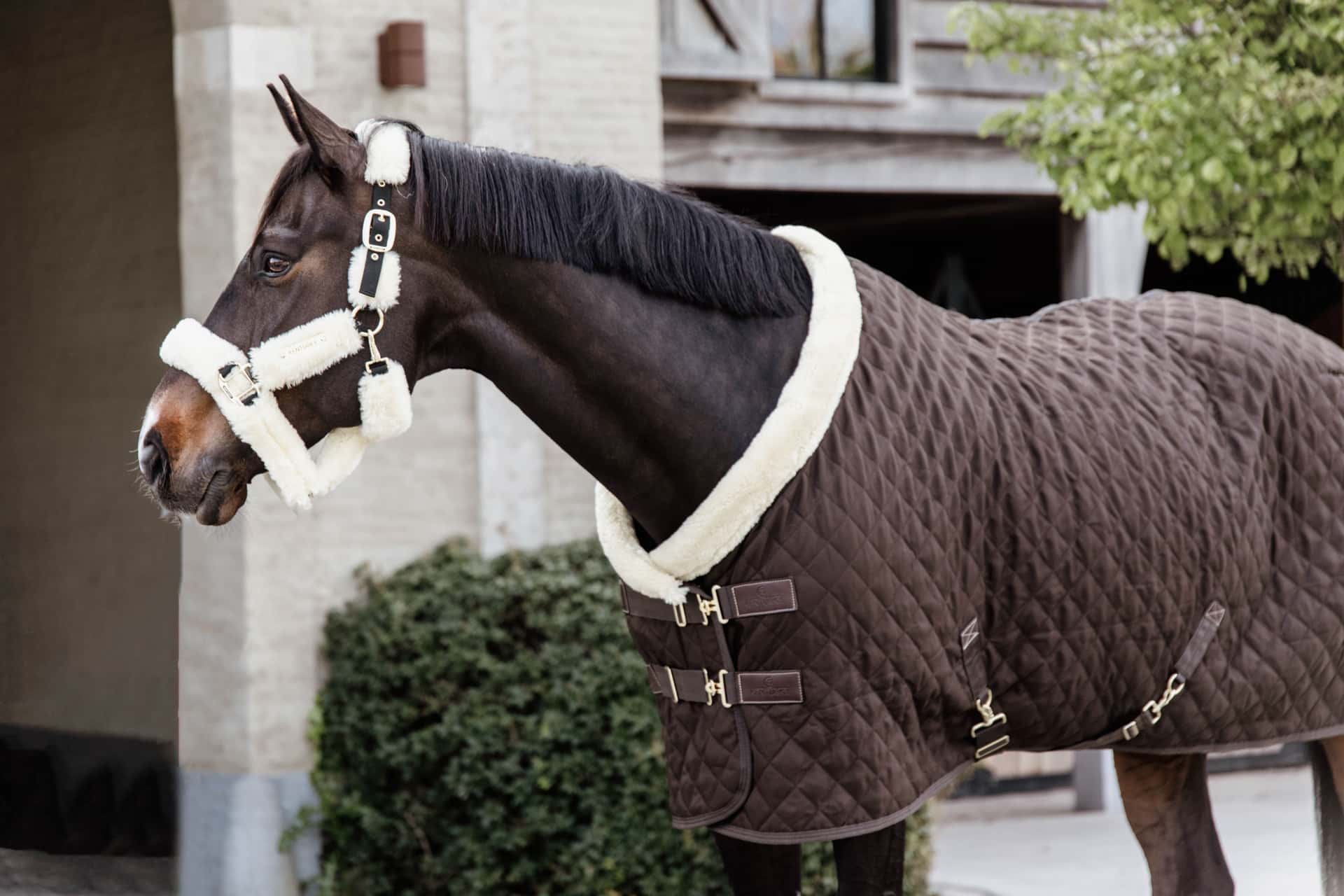 KENTUCKY HORSEWEAR Kentucky Horsewear Showdeken Brown