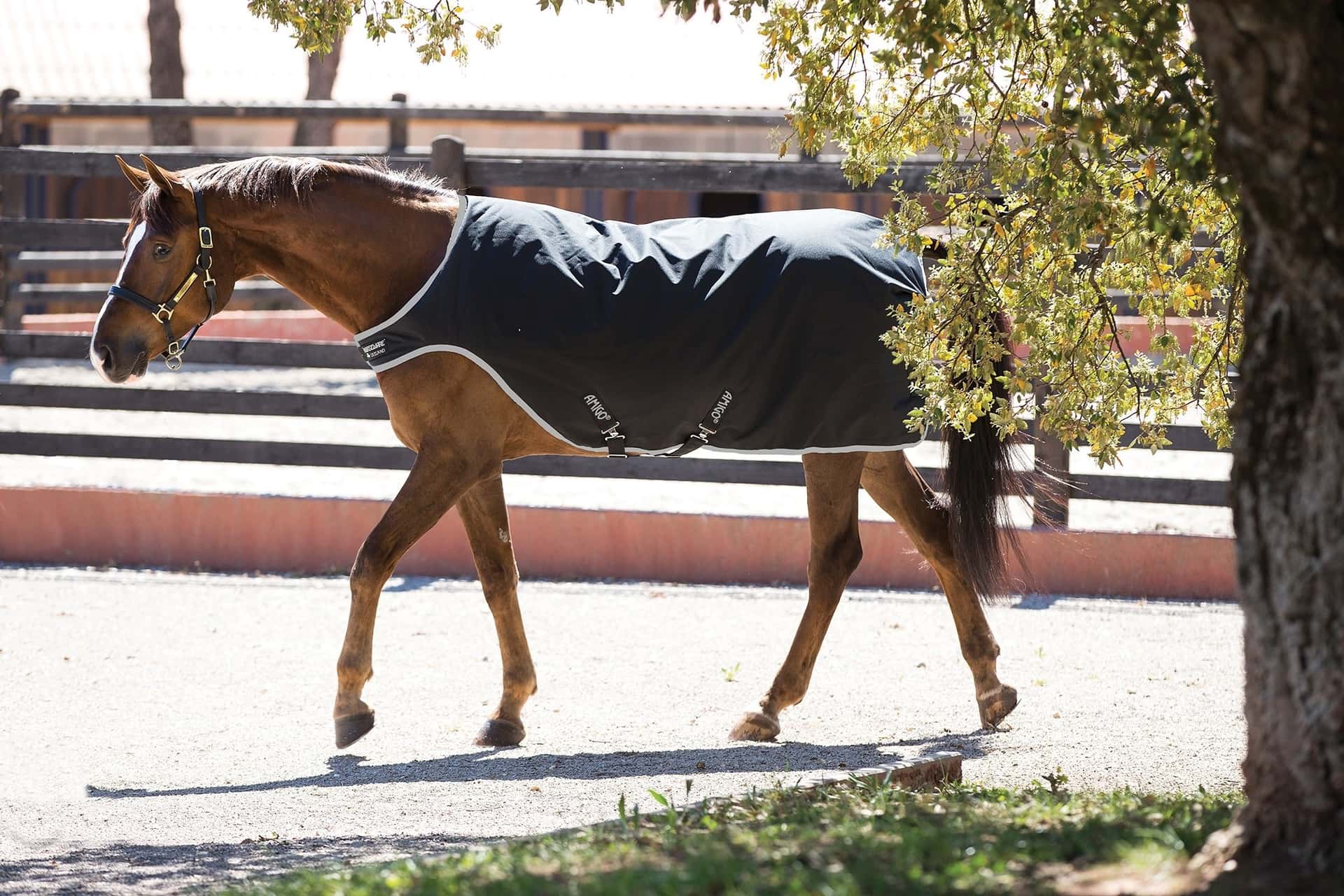 HORSEWARE Amigo Walker 200g