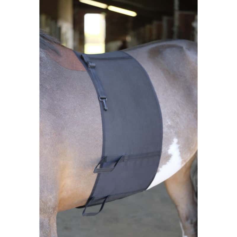 NORTON Norton Bodybandage
