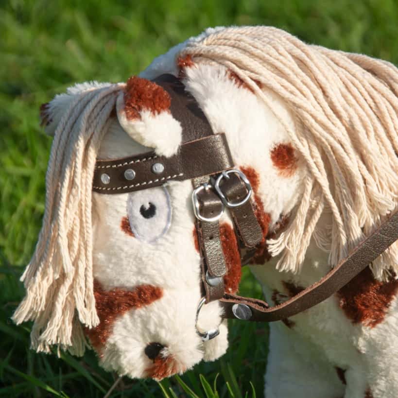 CRAFTY PONIES Crafty Ponies Leren Western Hoofdstel