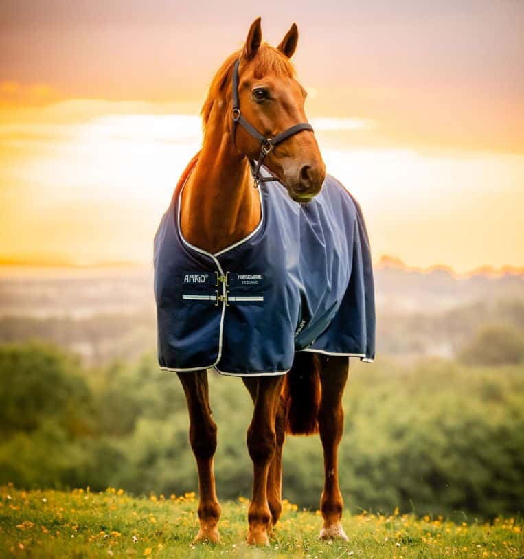 HORSEWARE Amigo Hero Ripstop 200g Medium 900d