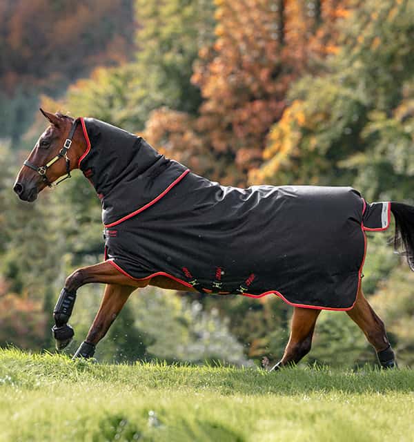 HORSEWARE Amigo Bravo Plus Medium 1200d Disc