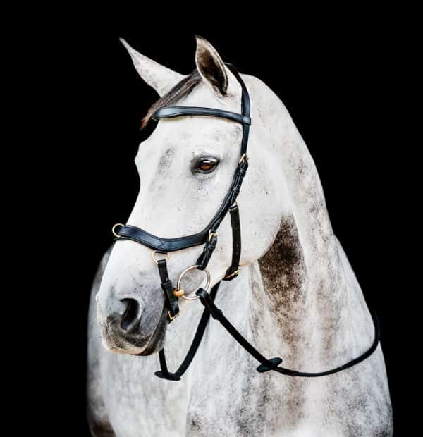 HORSEWARE Horseware Micklem 2 Multi Bridle