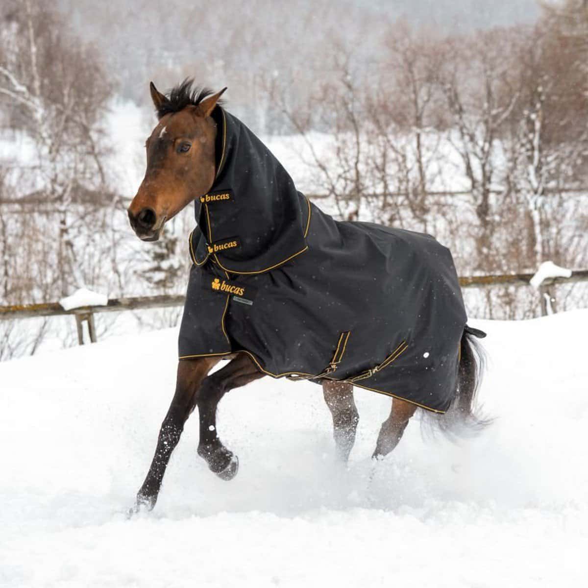 BUCAS Bucas Irish Turnout Light 50 + Neck