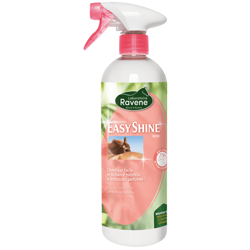 EKKIA Ravene Easy Shine Spray 750ml