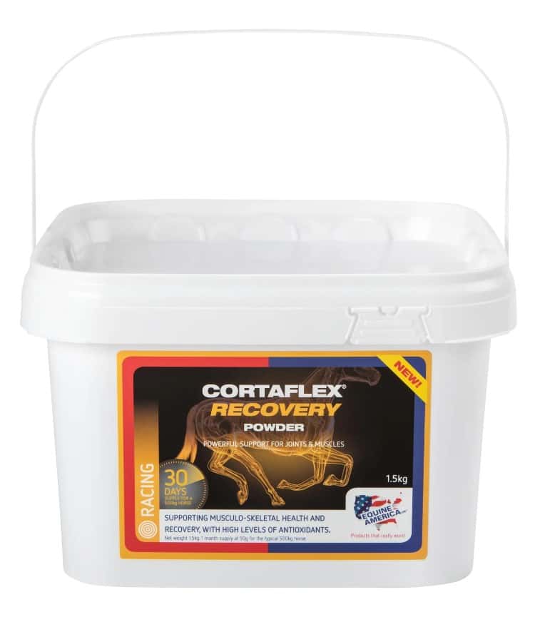 EQUINE AMERICA Equine America Cortaflex Recovery