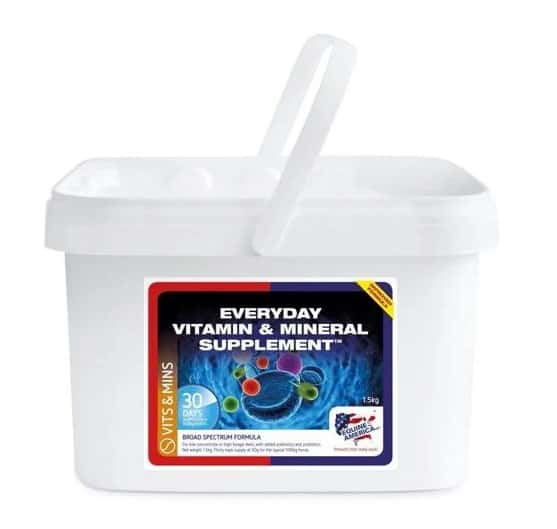 EQUINE AMERICA Equine America Everyday Vitamin & Mineral