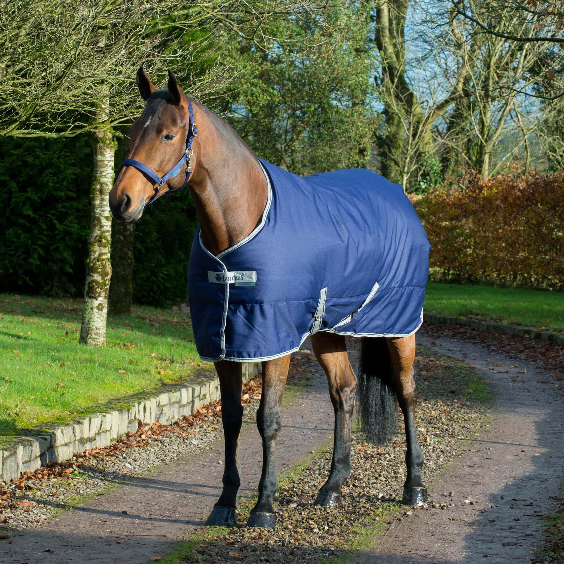 BUCAS Bucas Freedom Stable 150g