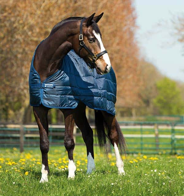 RAMBO Horseware Liner 300gr