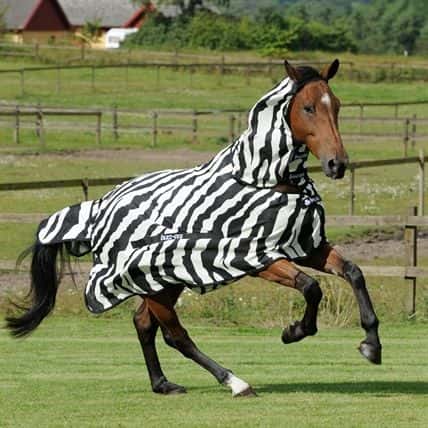 BUCAS Bucas Buzz-Off Zebra Full Neck