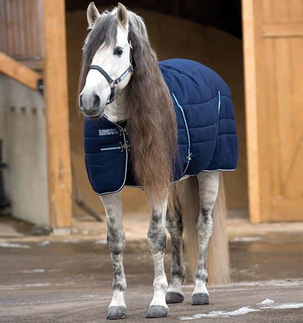 HORSEWARE Rambo Stable Rug Heavy
