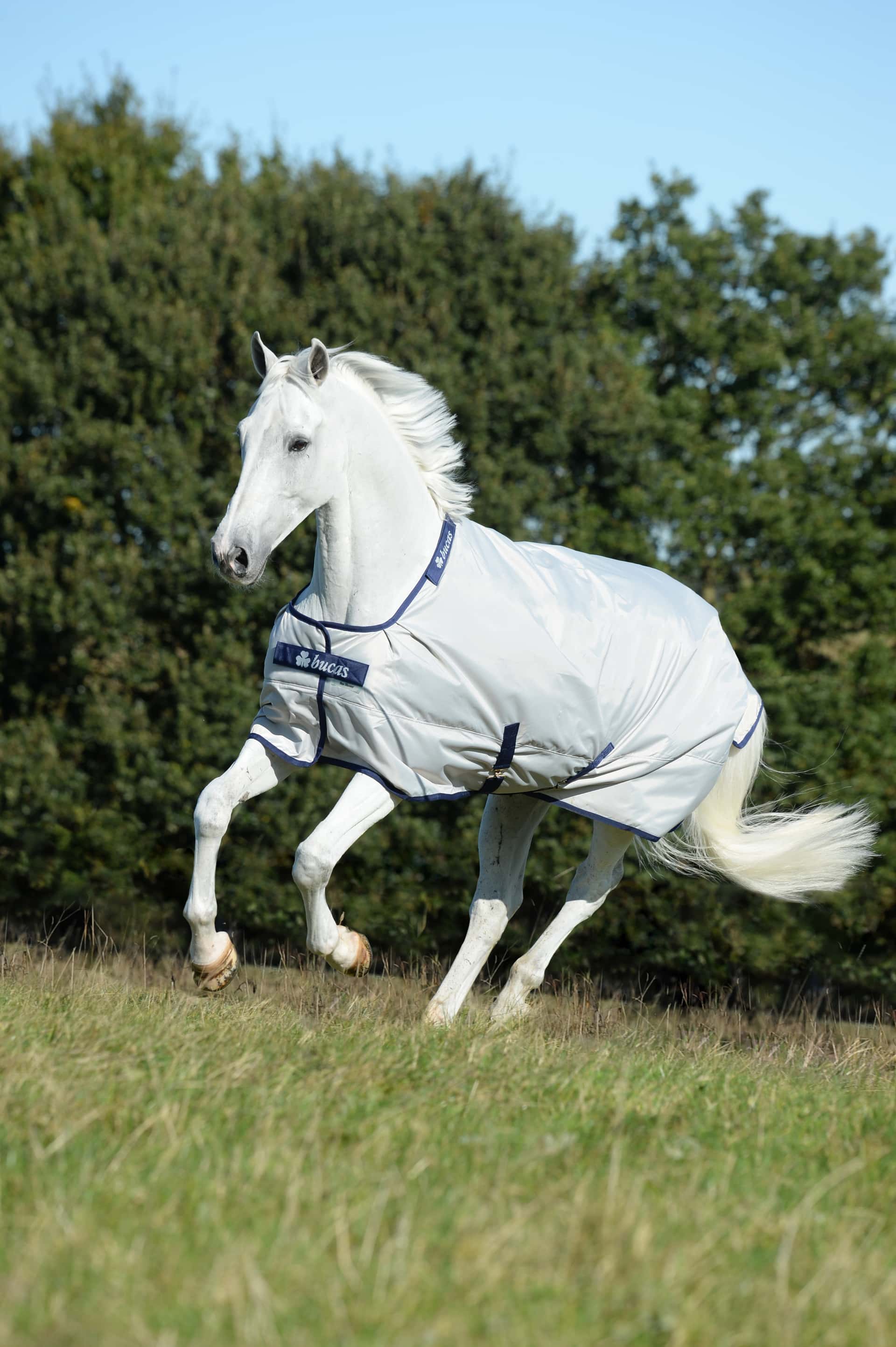 BUCAS Bucas Sun Shower Summer Turnout Deken