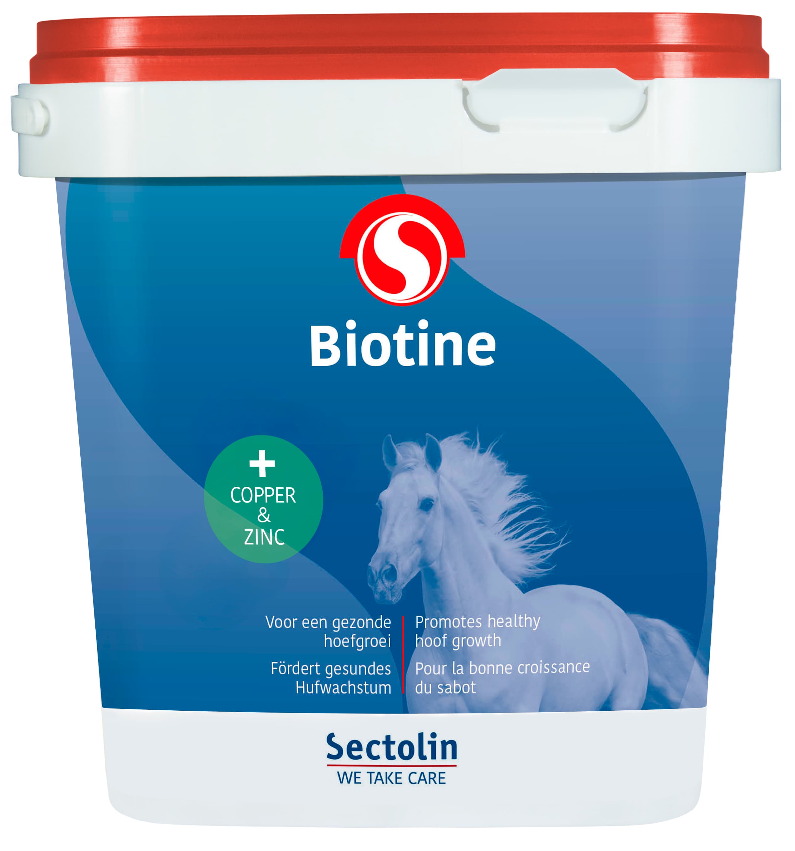 SECTOLIN Sectolin Biotine 1kg