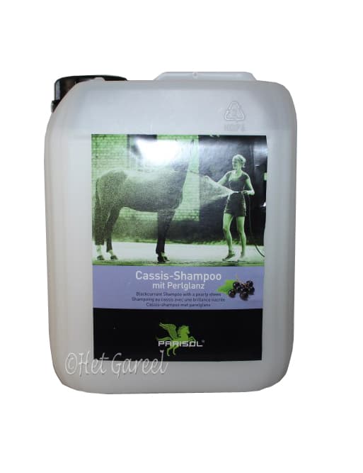PARISOL Parisol Pflege Shampoo 2.500ml