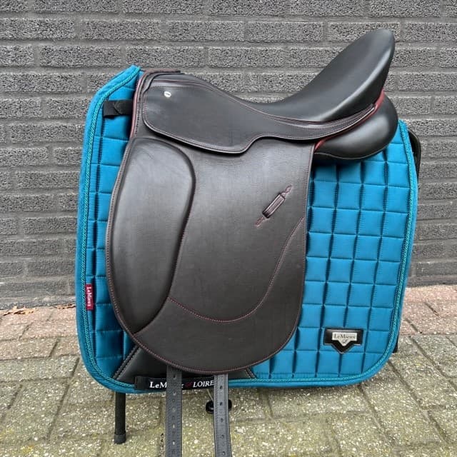 KIEFFER STERNTALER DRESSUUR OPRUIMING