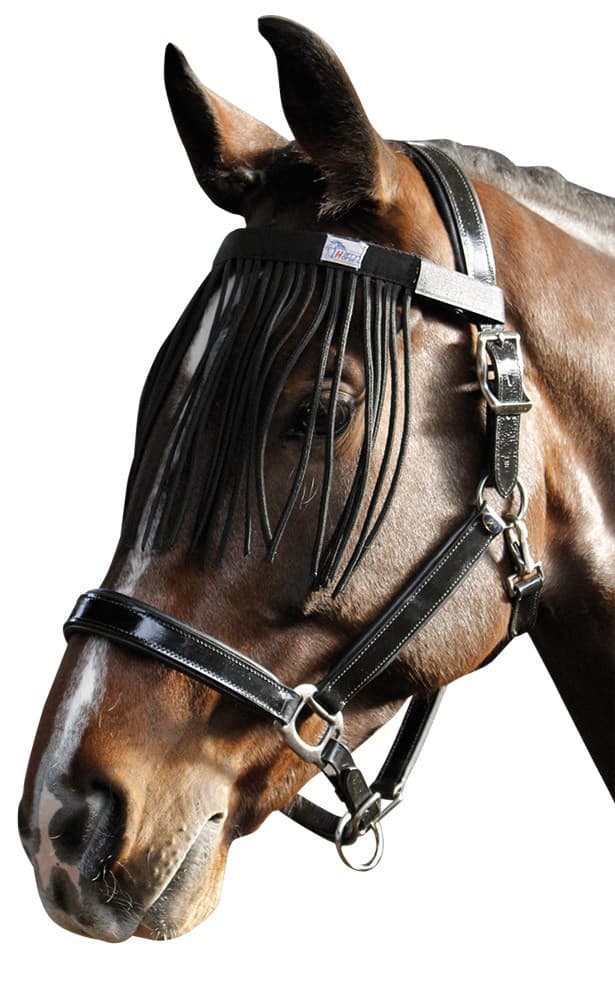 HARRY'S HORSE Vliegenfrontriem Zwart