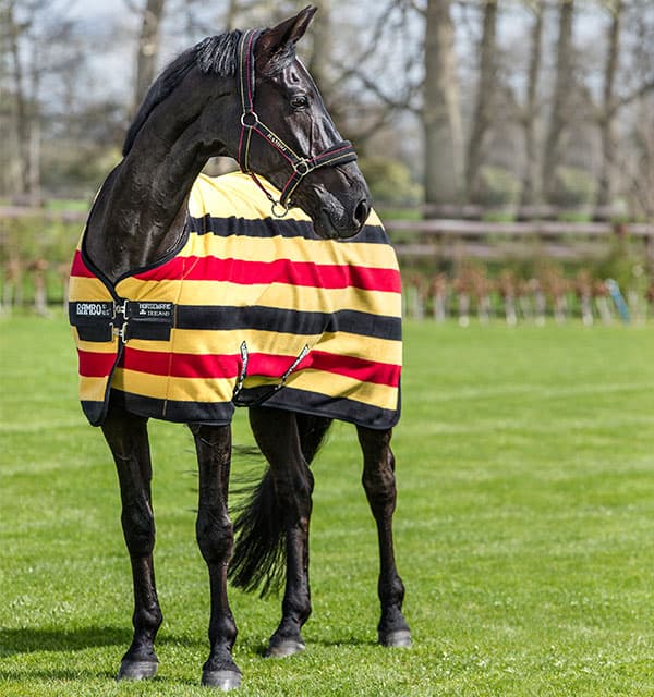 HORSEWARE Rambo Newmarket Fleece