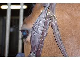 DY'ON Dyon Blinkers Pp