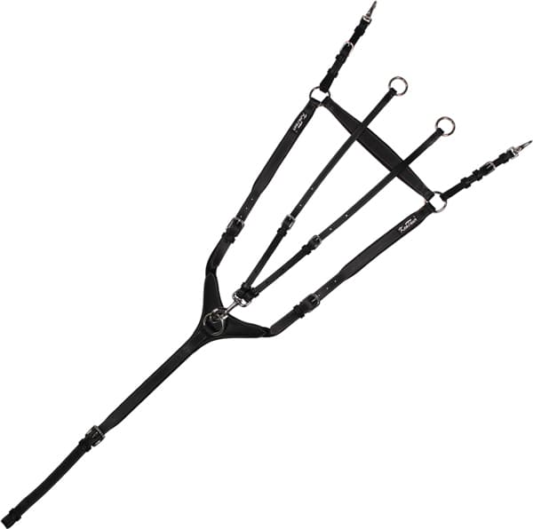 KENTAUR VOORTUIG 2156