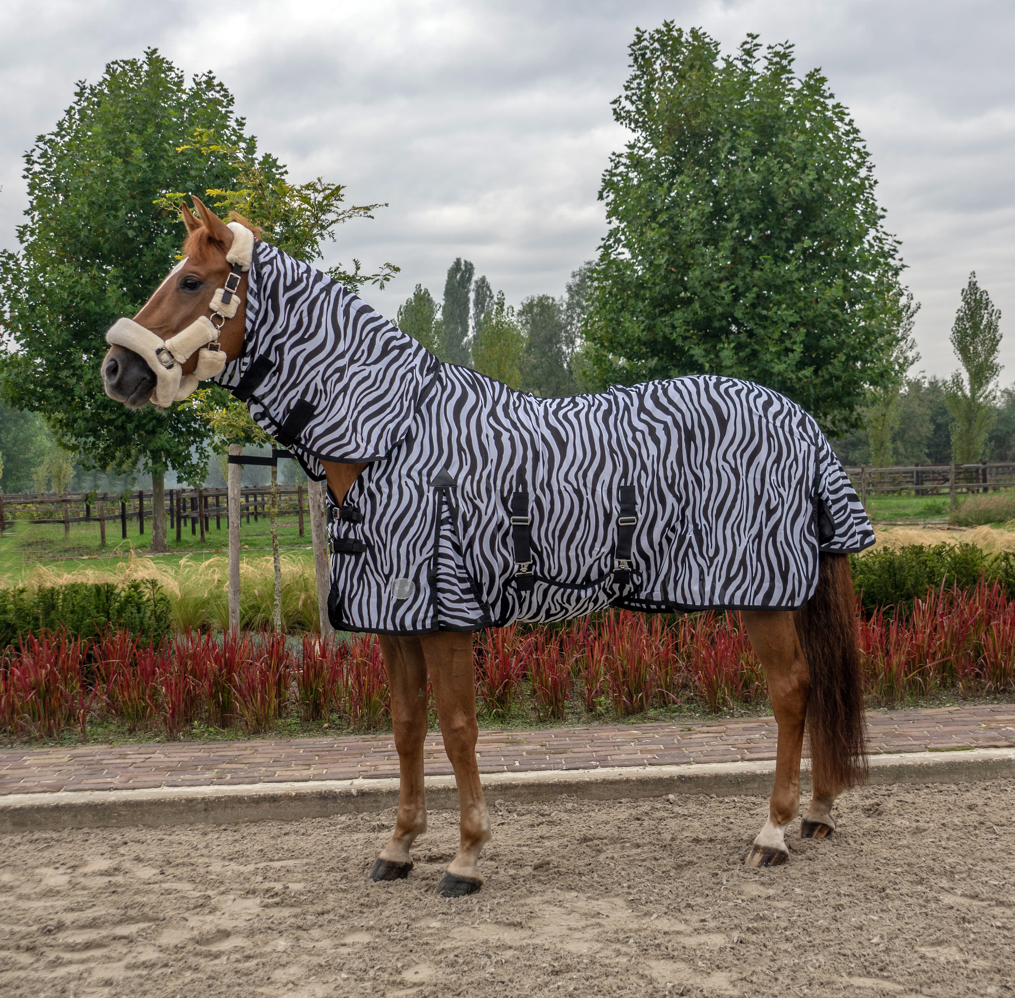 CHAMBERLAIN Chamberlain Vliegendeken Zebra Hals