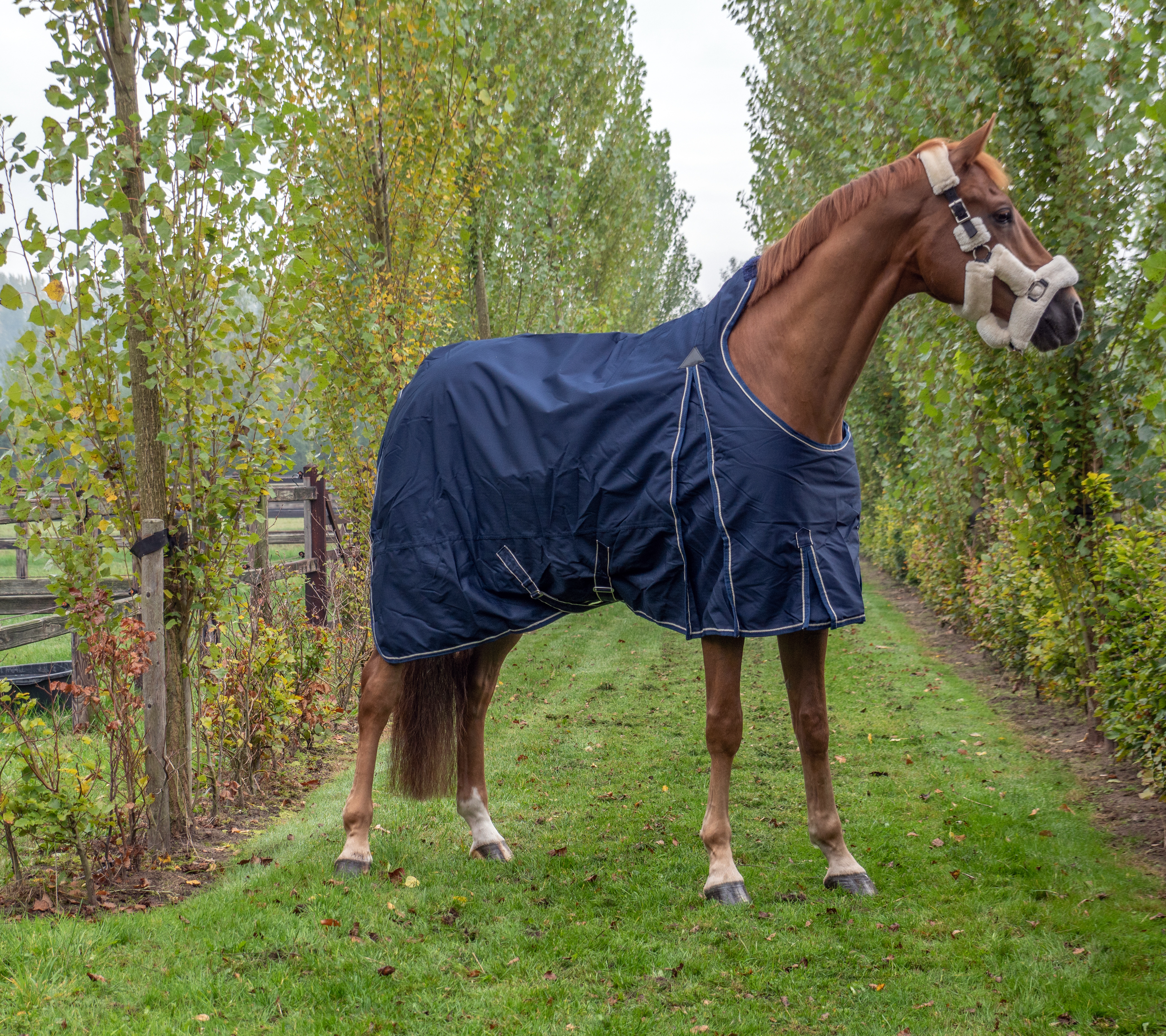 CHAMBERLAIN OUTDOOR DEKEN HUNTER