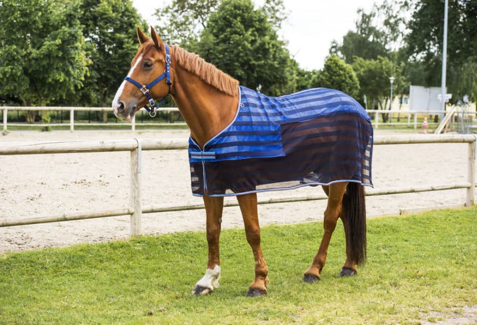 EQUI-THEME Equi-Theme Cooler Vliegen Deken
