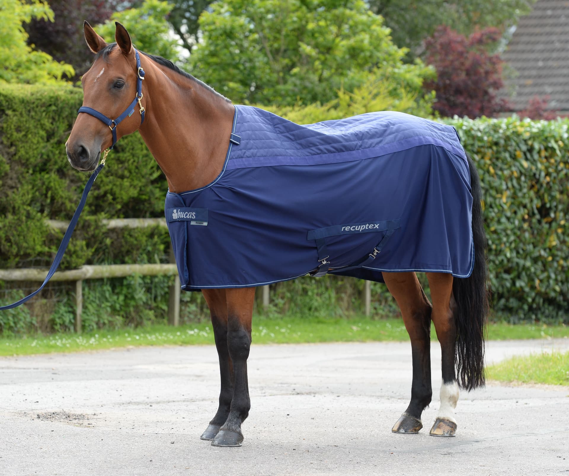 BUCAS THERAPY COOLER DEKEN