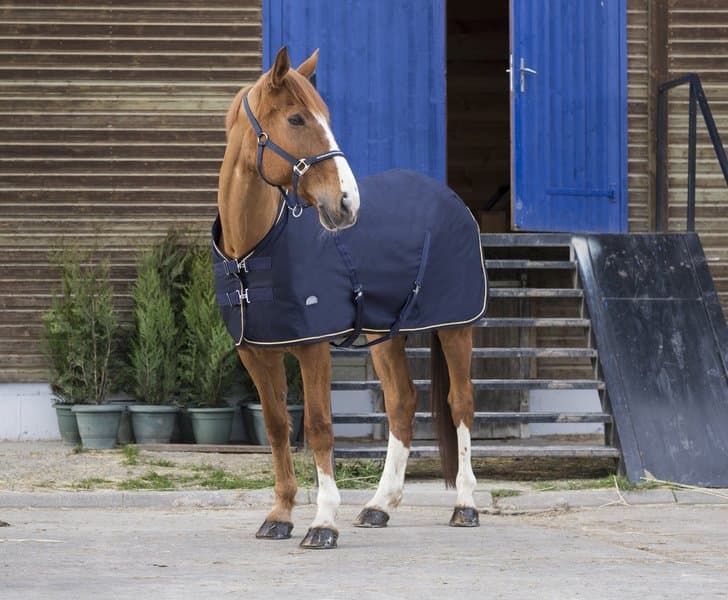 EQUI-THEME Equi-Theme Chic Zomerdeken