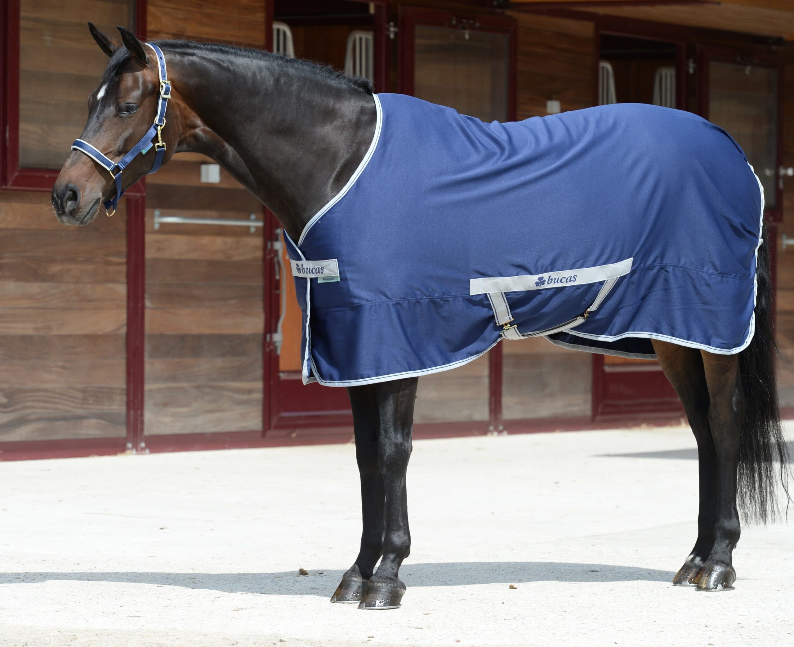 BUCAS Bucas Freedom Twill Sheet