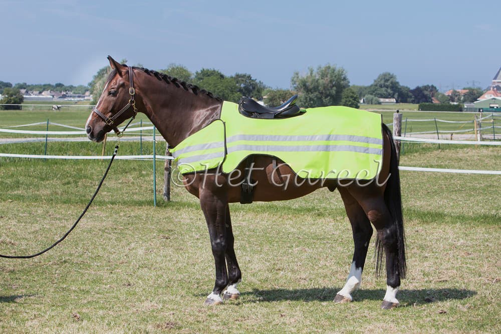 HARRY'S HORSE Harry's Horse Uitrijdeken Reflective