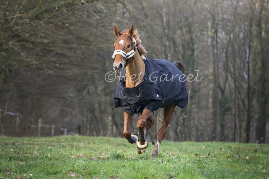 EQUI-THEME Et Tyrex 600d Outdoordeken 300gr